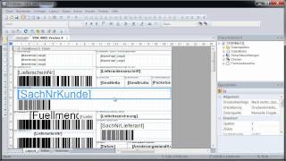 VDA4902 Labels und KLT Warenanhänger drucken TFORMer Designer [upl. by Kremer752]