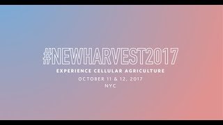 New Harvest 2017 Conference Recap [upl. by Nosiaj]