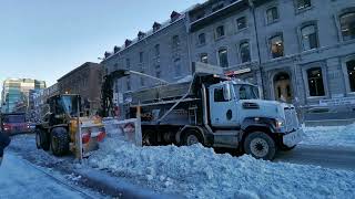 Second snow removal operation in Montreal downtown  Canbec [upl. by Fira]