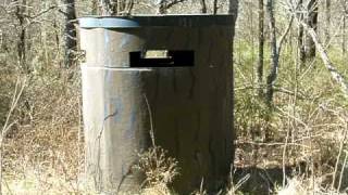 American Black Vulture quotBuzzardquot Eggs in a Deer Blind [upl. by Butch]