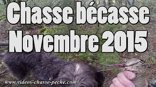 Chasse bécasse  GoPro 4 BE [upl. by Annaiel]