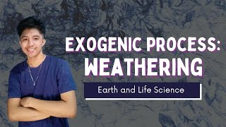 Updated EXOGENIC PROCESS WEATHERING Filipino  Earth and Life Science [upl. by Tanah182]