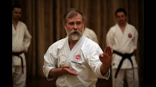 Asai Kata Dai Itsu KenBassai Kihon and Bunkai step by step Dormenko Sensei 8 dan [upl. by Tedmund688]