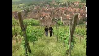 Discover the Wines of Alsace [upl. by Malin]