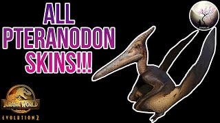 ALL PTERANODON SKINS SHOWCASE 4K  Jurassic World Evolution 2 [upl. by Marston]