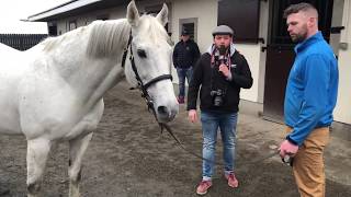 Irish Stallion Trail  Yeomanstown Stud  Dark Angel [upl. by Lettie425]