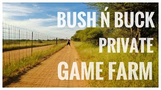 BUSH n BUCK PRIVATE GAME FARM NORTHWEST [upl. by Sewellyn509]