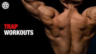 Upper Traps Middle Traps And Lower Traps Workout Gym  Traps [upl. by Halli189]