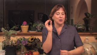 Gardening Edible Plants  How to Grow Tomatillos [upl. by Annaeirb]