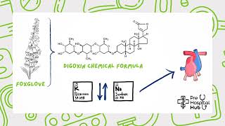 Digoxin Effect On ECGs [upl. by Sailesh]