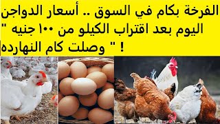 الفرخة بكام في السوق  أسعار الدواجن اليوم بعد اقتراب الكيلو من 100 جنيه quot وصلت كام النهارده quot [upl. by Shurwood]