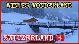 WINTER WONDERLAND IN SWITZERLAND  FANTASTIC BOMBASTIC UNTERIBERG SWITZERLAND [upl. by Leuneb]