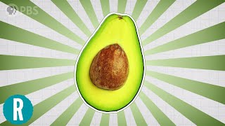 The Science of Avocados [upl. by Nilok]