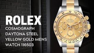 Rolex Cosmograph Daytona Steel Yellow Gold Mens Watch 116503 Review  SwissWatchExpo [upl. by Llerdnam]