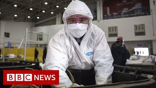 Coronavirus disease named Covid19  BBC News [upl. by Slen]