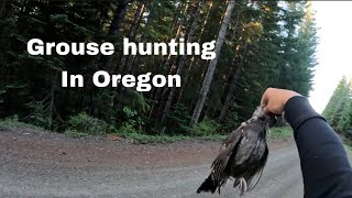 Grouse Hunting  Catch and cook blue grouse in the beautiful Oregon mountains [upl. by Tynan]