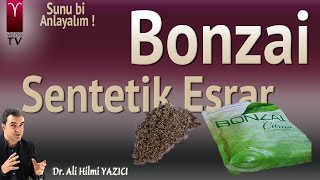 Bonzai  Sentetik Esrar Nedir  Nasıl Yaygınlaştı [upl. by Clough]