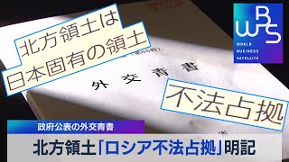 北方領土「ロシア不法占拠」明記 政府公表の外交青書【WBS】（2022年4月22日） [upl. by Eimareg256]