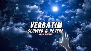 Mother Mother  Verbatim slowed amp reverb  TikTok Version [upl. by Aedni]