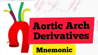 Aortic Arches Derivatives Mnemonic  MedSurvival [upl. by Nick300]