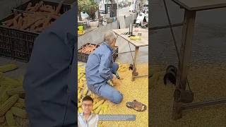 Farmers harvest corn with smart tools sonasmr [upl. by Anitsyrhc]