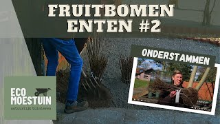 Fruitboom onderstammen [upl. by Gladi]