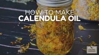 How To Make Calendula Oil [upl. by Epillihp]