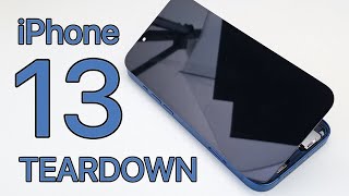 iPhone 13 Teardown  Full Disassembly [upl. by Fielding]