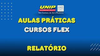 Aulas Práticas  Cursos Flex  Relatórios [upl. by Silenay]