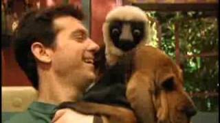 Zoboomafoo Cap quotOidos Que Oyenquot 23 [upl. by Dunton72]