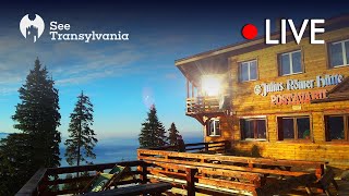 Julius Römer Hütte  Cabana Postavarul  🔴 Poiana Brasov Live Webcam Partia Lupului [upl. by Nalyr746]