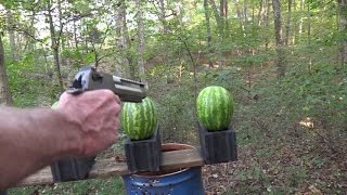 50 AE Desert Eagle vs Watermelons [upl. by Chavez]