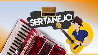 Sertanejo anos 90 2000 [upl. by Ocirled442]