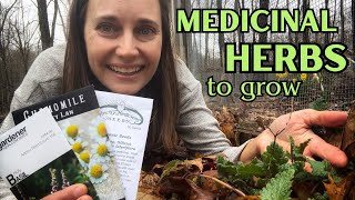 Medicinal Herbs to Grow at Home  What Im Growing this Year [upl. by Anilehcim395]