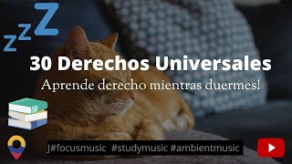 Los 30 Derechos Humanos Universales 😴 Aprende derecho mientras duermes o haces otras cosas [upl. by Nyllek]