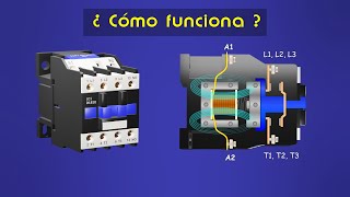 Cómo Funciona un Contactor Bien Explicado  Partes y Funcionamiento [upl. by Yrekcaz864]