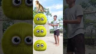 Monster fuzz to frog joker gorrila dame to Cosita shorts [upl. by Lehsar]