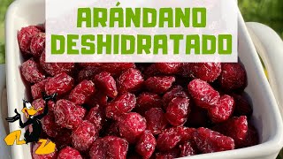 10 Propiedades de los Arándanos Deshidratados o Secos 🤤 ¡BENEFICIOS [upl. by Stevena]