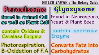 Microbodies Peroxisomes and Glyoxysomes  Peroxisomes and Glyoxysomes Structure and Functions [upl. by Samira]