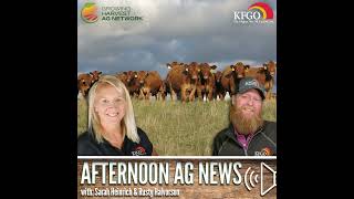 Afternoon Ag News October 21 2024 Will high cattle prices last into 2025 [upl. by Laekcim]