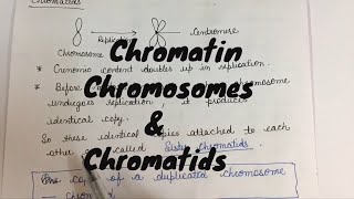 What is the difference between Chromatin chromosomes and chromatids [upl. by Yraunaj]