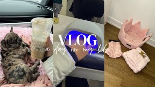 VLOG  we got a new puppy meeting her brother for the first time shopping haul new nails amp more🤍 [upl. by Eibbed53]