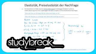 Elastizität Preiselastizität der Nachfrage  Grundbegriffe der Wirtschaftslehre [upl. by Hanala945]