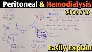 Dialysis  Peritoneal And Hemodialysis  Class 10 Biology [upl. by Aroda]