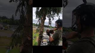 Topping a Tall Tree  Husqvarna 540i treeremoval [upl. by Ahsiam]