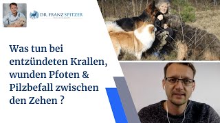 Entzündete Krallen wunde Pfoten Pilzbefall zwischen den Zehen  die Verbindung zum großen Ganzen [upl. by Naejamron]