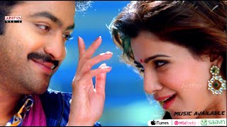 Jr NTR Best Action Fight Scene  Climax Fight Scene  Rabhasa Movie Scenes [upl. by Sartin]