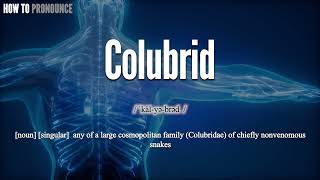 Colubrid Pronunciation  How to Pronounce say Colubrid CORRECTLY  Meaning Definition [upl. by Moynahan]