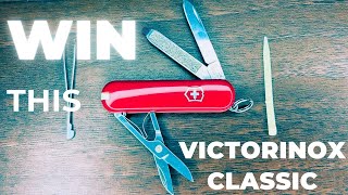 Win this Victorinox Classic  Review  Giveaway  UK legal knife  EDC knife [upl. by Alimac]