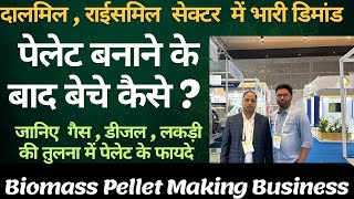 Biomass Pellet Manufacturing Plant  Sawdust Pellet Making Business  बायोमास पेलेट मेकिंग फैक्ट्री [upl. by Skeie956]